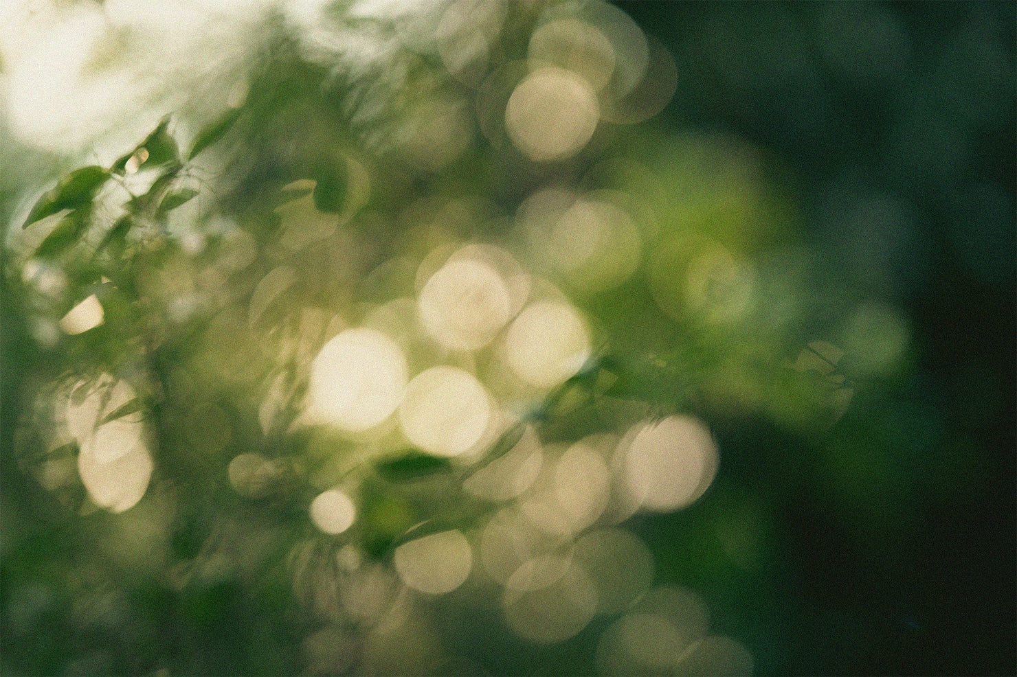 Terre